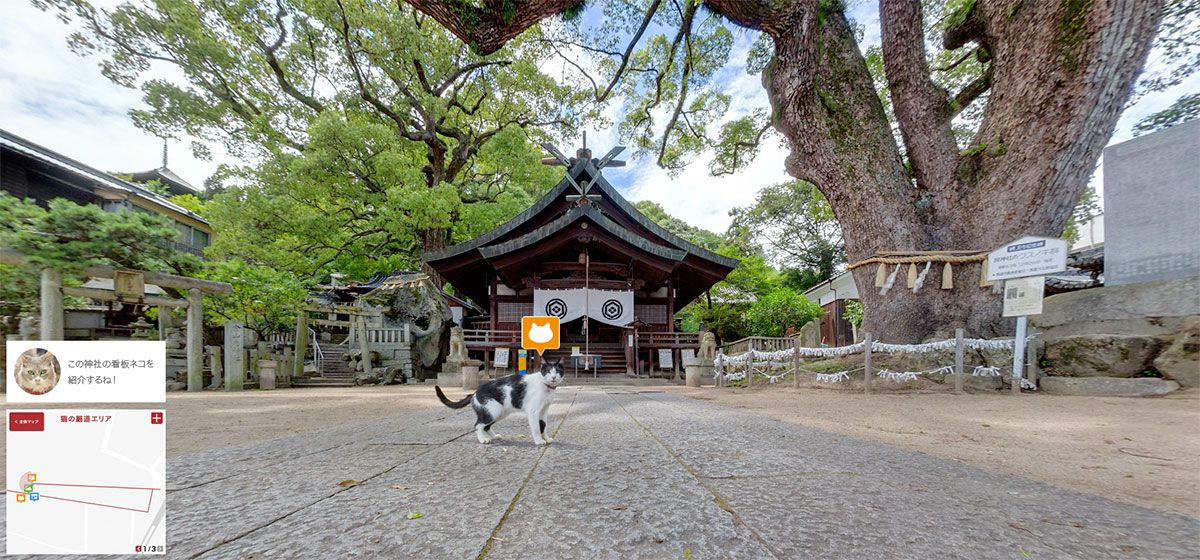 Hiroshima cats
