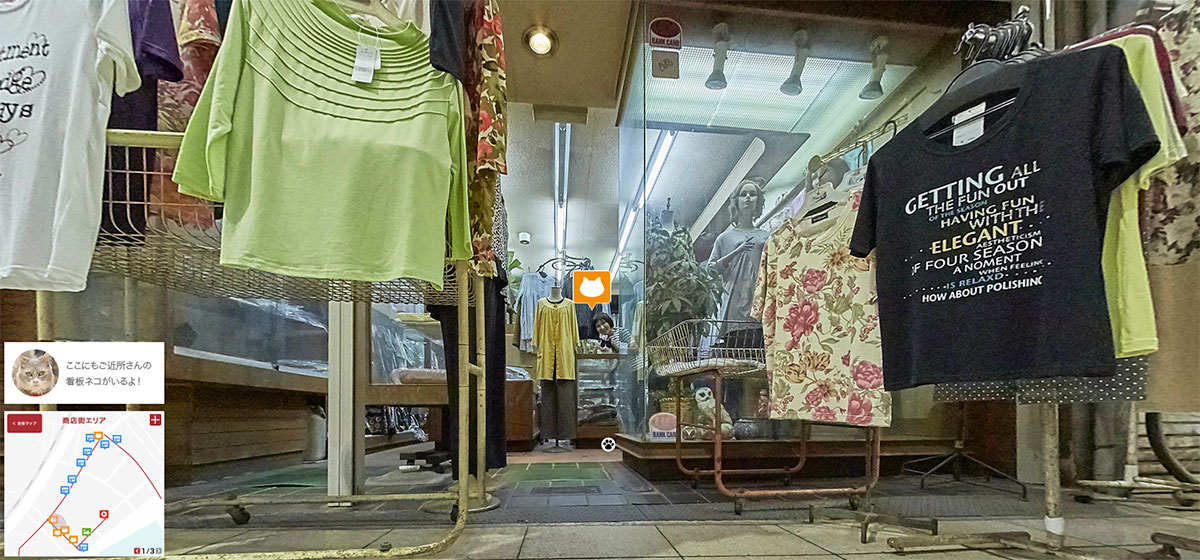 Hiroshima cats
