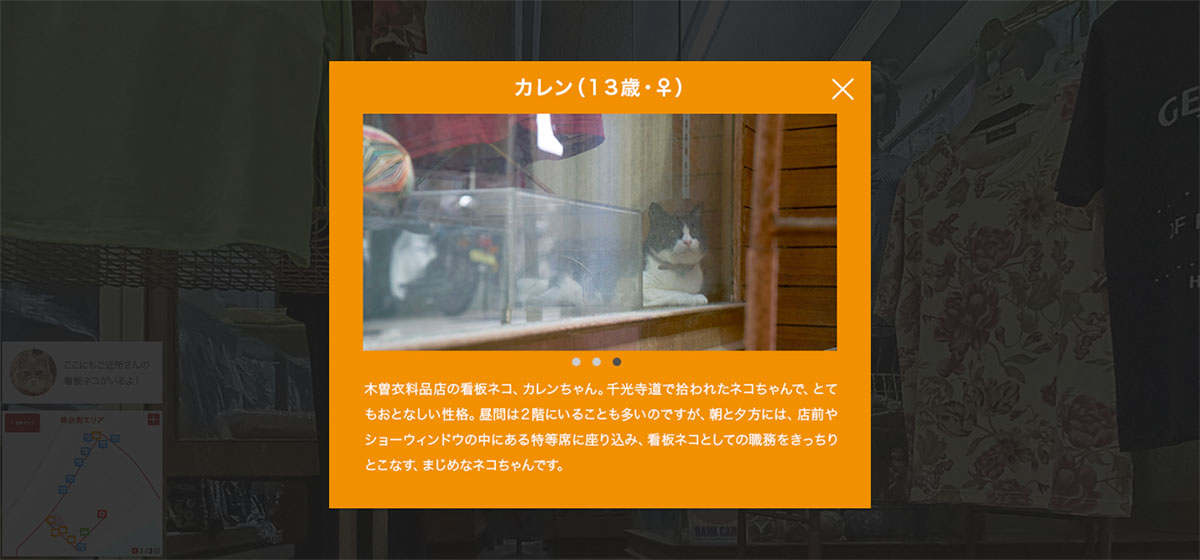 Hiroshima cats