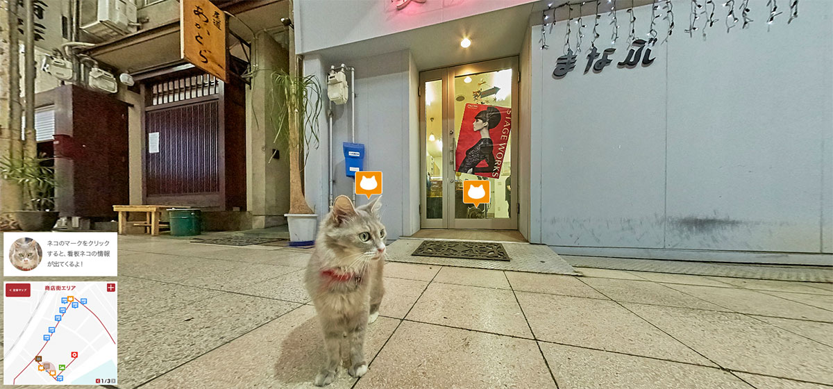 Hiroshima cats